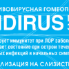 Противовирусная гомеопатическая аптечка Индирус( профилактика заболеваний) гранулы 