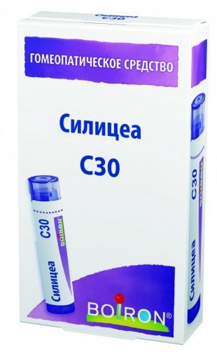 Силицеа (Силицея 30) C30 гранулы  4 г