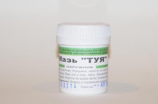 ТУЯ (бородавки, потливость ног, ячмень, язвы в носу) мазь 25 г