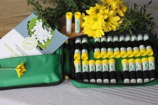 Аптечка гомеопатический набор C12 гранулы  4,0 г №24